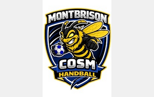 Basket &amp; Handball main dans la main
