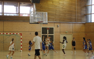6aac4a7693d50_MG0101.JPG