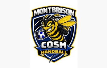 Basket &amp; Handball main dans la main