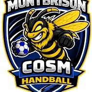 Basket & Handball main dans la main